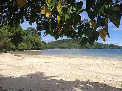 strand, Fiji, tropische, water, vakantie, zee, zand