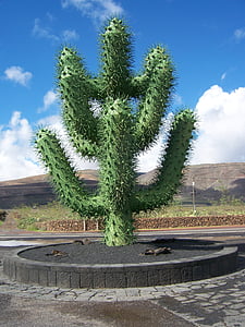 Espagne, Lanzarote, île, îles Canaries, jardin de cactus, Cactus