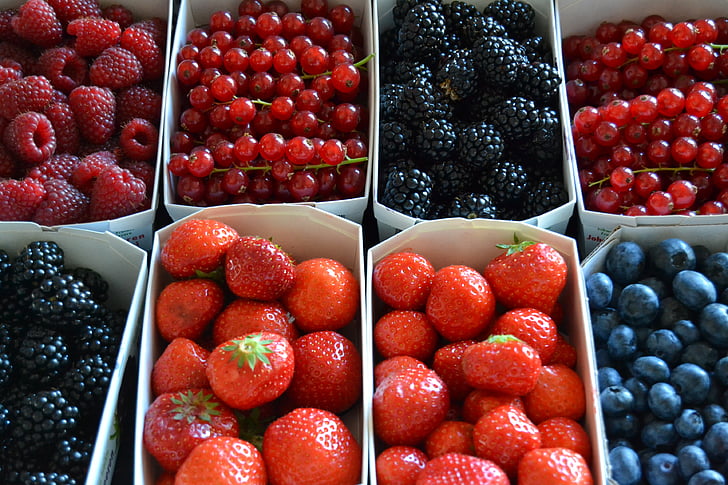 berreis, skogsbær, nettverk, rød, markedet, frukt, mat