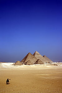 sozinho, camelo, deserto, Egito, pessoa, pirâmides, areia