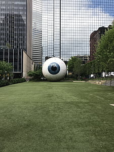 microcirugías, ojo, Dallas, globo ocular, olmo, arte