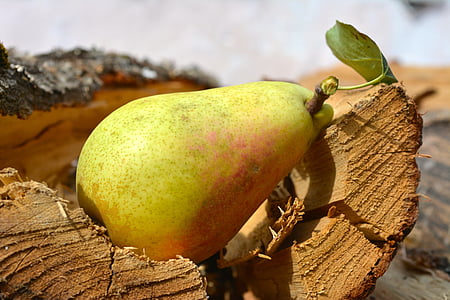 pear, green pear, pear and wood, nature, fruit, food, freshness
