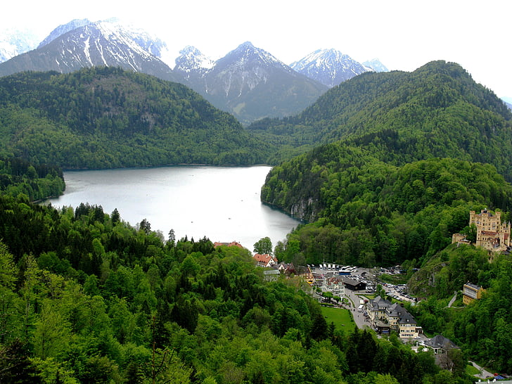 alpsee, hohenschwangau, forest, bavaria, water, germany, nature