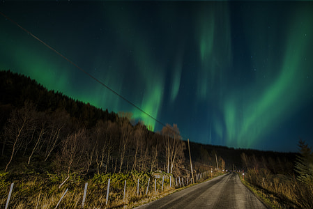 nordlys, Lofoten, Norge, natt, grønn, himmelen, blå