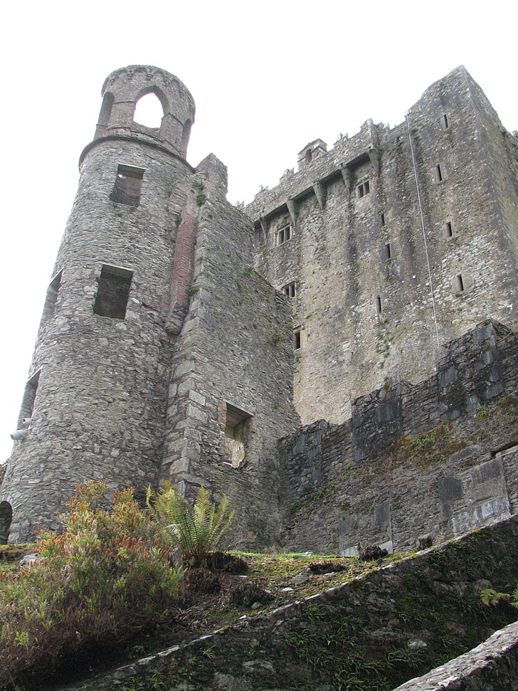 Blarney castle, Irlanda, plută