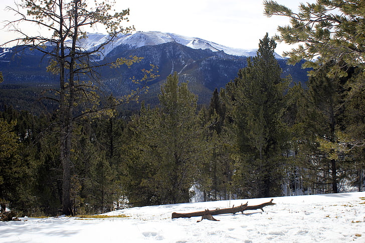 Colorado, Pikes peak, drumeţii, în aer liber, vârf, munte, peisaj