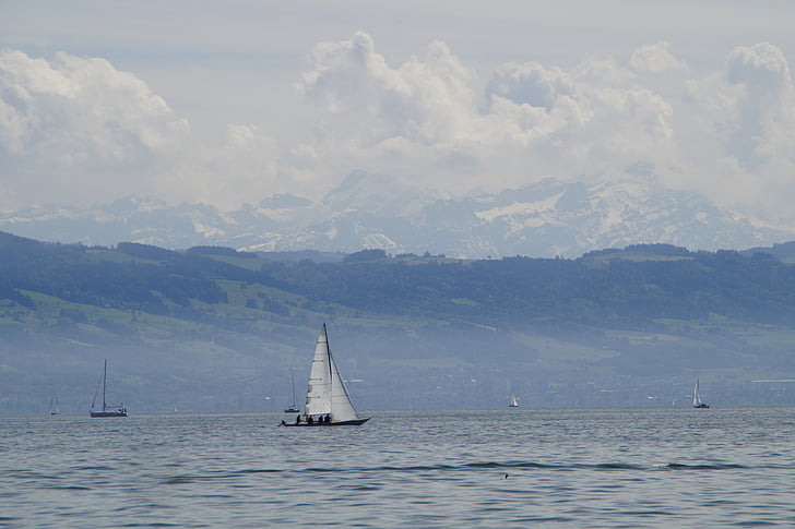 панорама, Outlook, Боденското езеро, пейзаж, изглед, алпийски, сняг