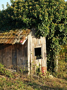 dilapidated, break up, overgrown, vine cottage, old, decay