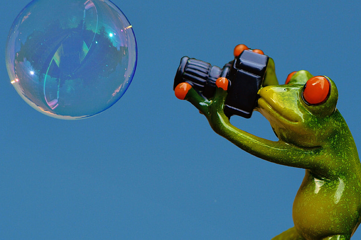 frog, photographer, soap bubble, photograph, fun, animal, funny