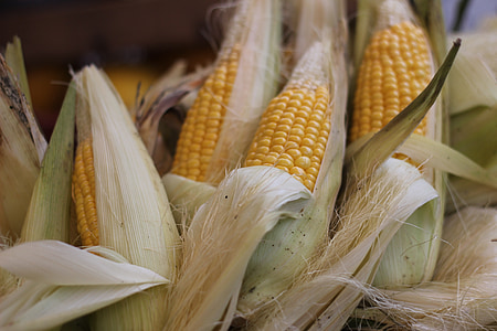 kukuřice, trh, zelenina, žlutá, čerstvé
