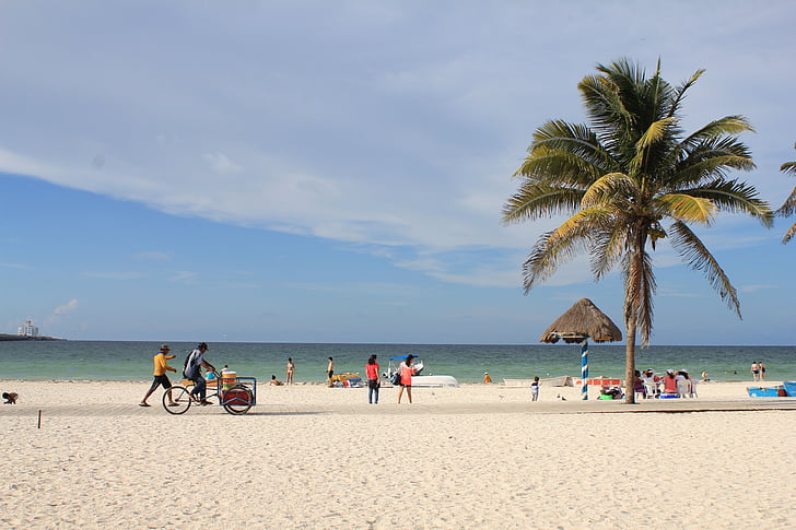 México, progreso de Puerto, Yucatan, Playa, Palmas, azul, naturaleza