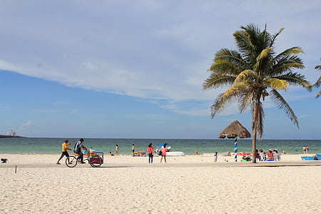 Mexic, portul progresul, Yucatan, plajă, palmele, albastru, natura