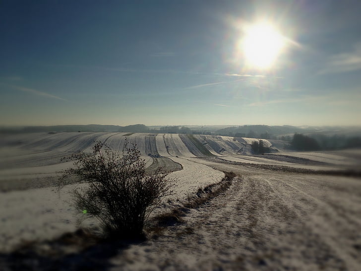 winter, fields, landscape, light, snow, space
