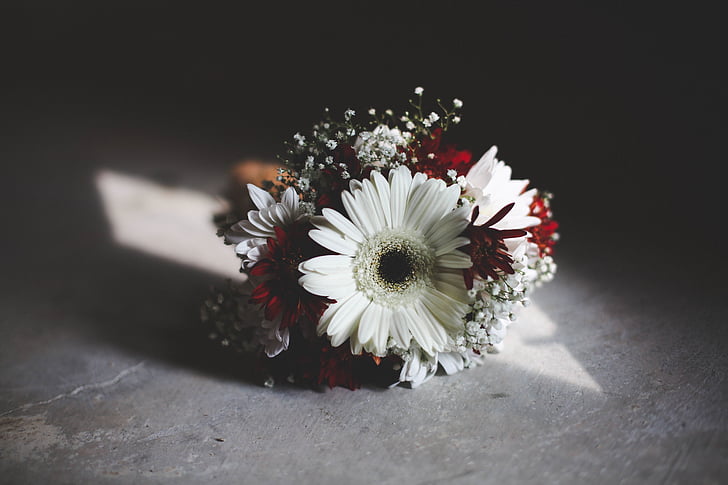 white, red, beige, petal, flower, bouquet, gray