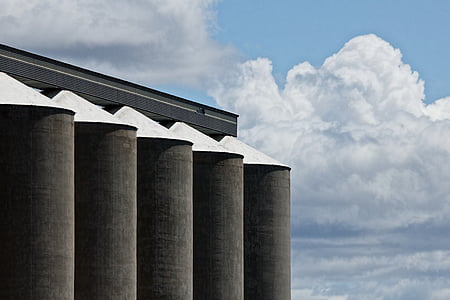 grain silo, corn, storage, grain, silo, agriculture, harvest
