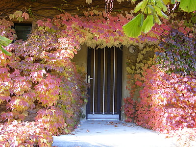 podzim, rám dveří, zlatý podzim