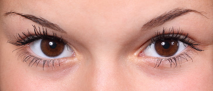 beautiful, close-up, eye, eyebrows, eyelashes, eyes, female