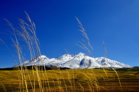 Sabina, snowberg, bovin hjärtaberg, naturen, Mountain, landskap, Utomhus