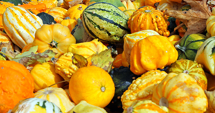 カボチャ, 秋, 10 月, 収穫, 野菜, オレンジ, カラフルです