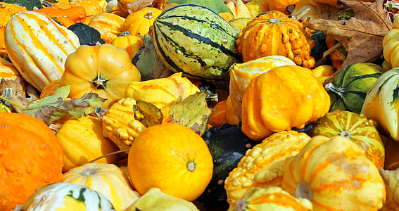 moliūgai, rudenį, spalio, derliaus, daržovės, oranžinė, spalvinga