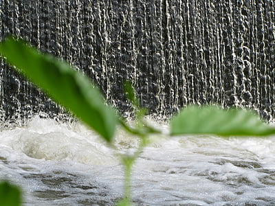 sluice, waterfall, natural water, nature, plant, liquid, flowing