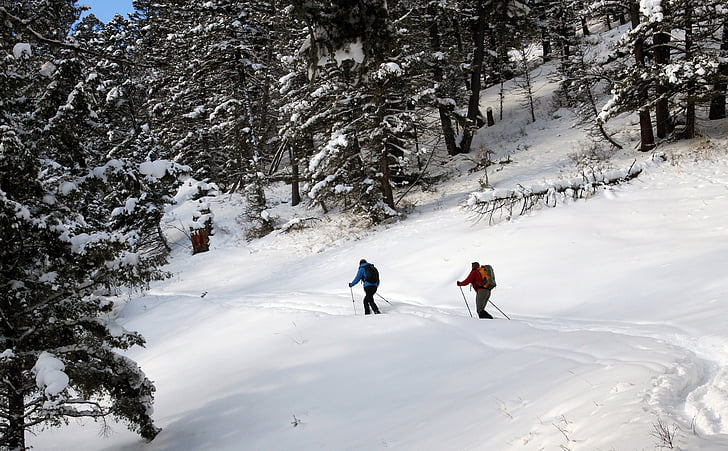 Esquiadores cross-country, neve, viagens, ao ar livre, estilo de vida, ativo, desafio