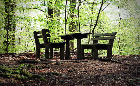 seating arrangement, nature, resting place, rest, forest, bank, wood