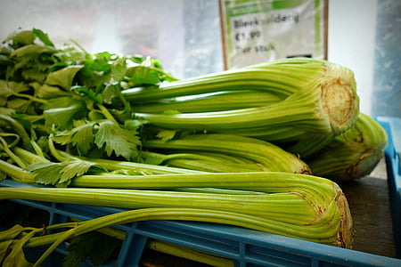 celer, keř celer, zelenina, čerstvé, čerstvá zelenina, Apium graveolens, jídlo