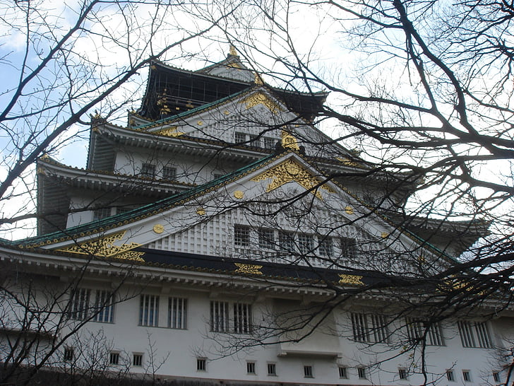 Osaka castle, Castle, træ