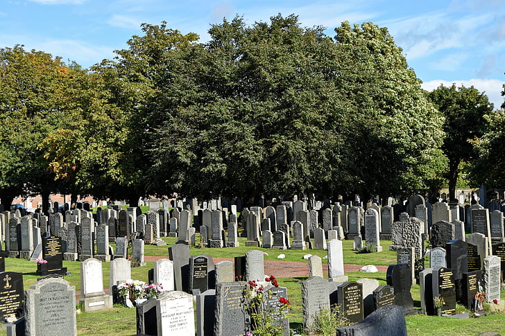 cemetery, trees, headstones, graves, graveyard, memorial, stone