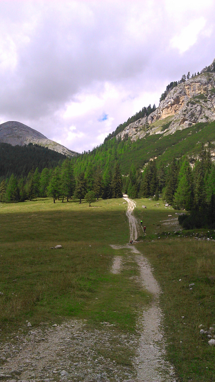Dolomites, pegunungan, pemandangan, alam, hutan, Italia, kaki