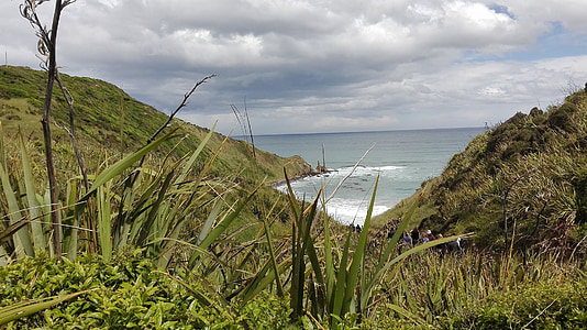 Yeni Zelanda, South Island, doğa, okyanus, manzara