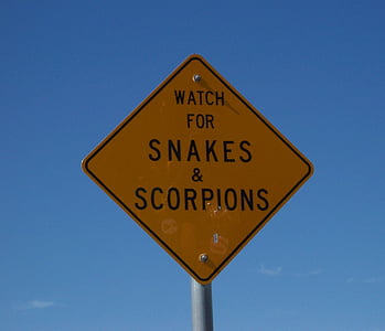 aviso, cobras, escorpiões, sinal, sinalização, venenoso, Cuidado