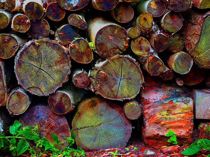 logs, wood, trunk, bark, grain, rustic, stack