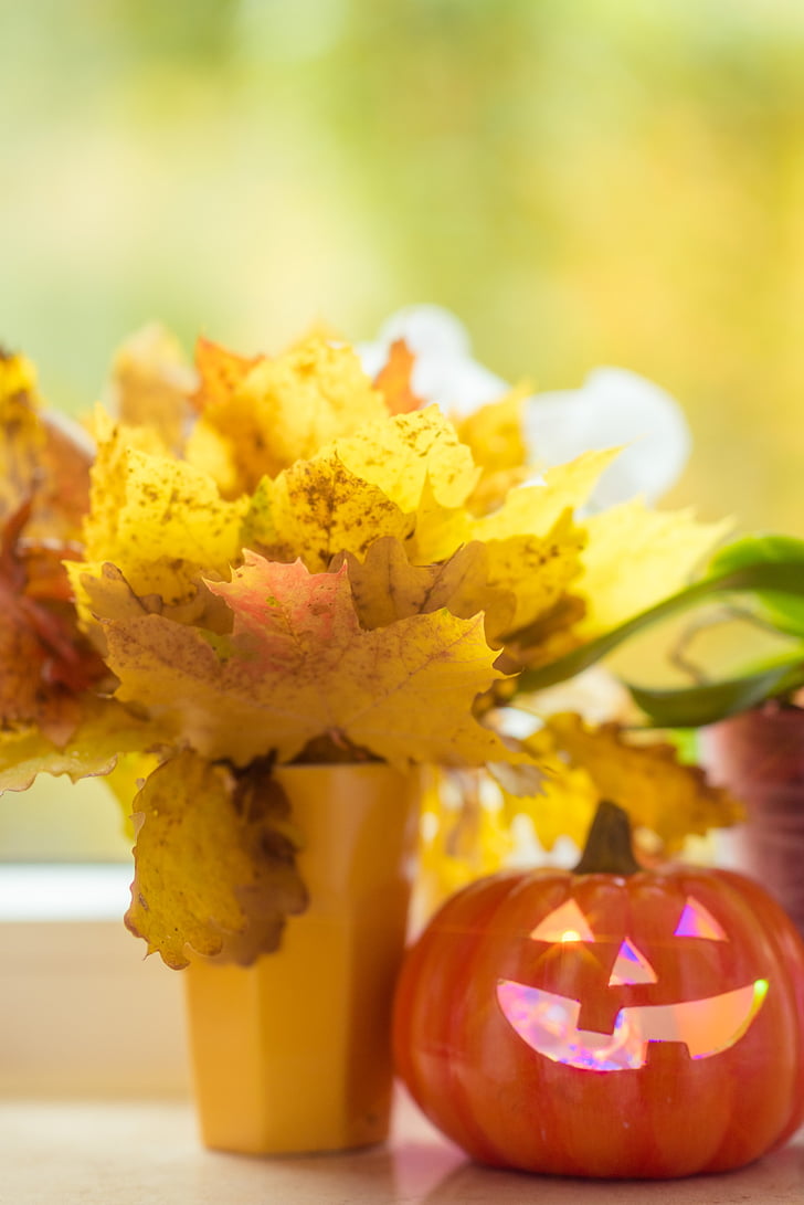 Halloween, zucca, foglie, bouquet, giallo, arancio, finestra