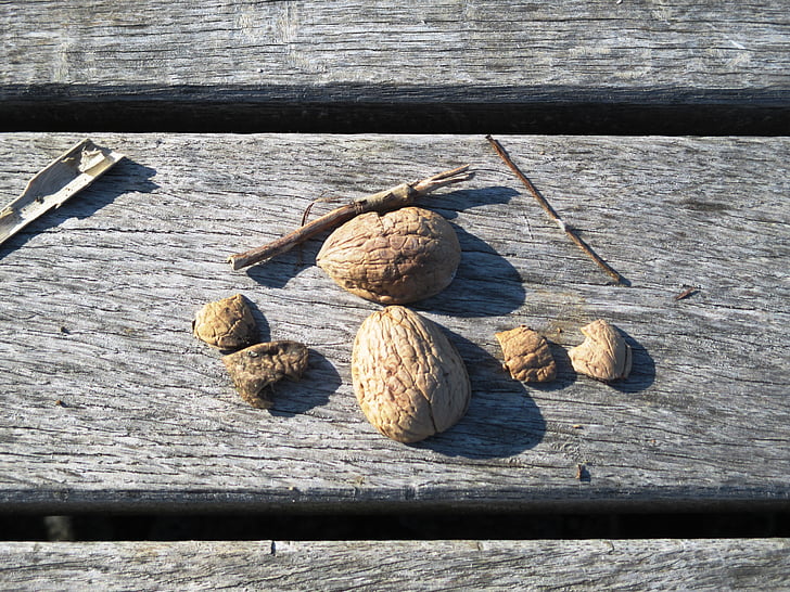 walnut shells, nutshells, walnuts, nuts, tree nuts, bank, weathered