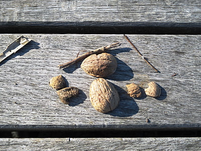 ořechové skořápky, nutshells, Vlašské ořechy, skořápkové ovoce, ořechy, banka, zvětralý