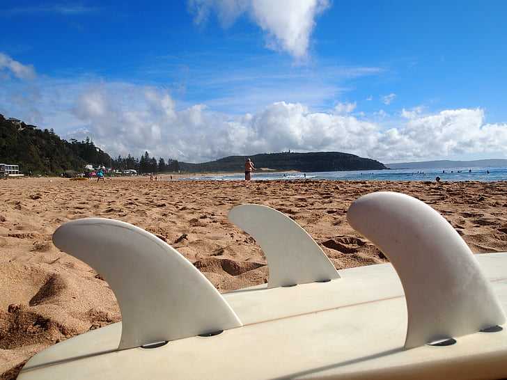 platja, taula de surf, l'estiu, sorra