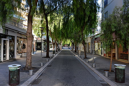 rua, árvores, cidade, Bom, Côte d'Azur, edifício, centro da cidade
