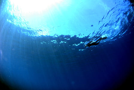 ronjenje, pod vodom, more, Scuba