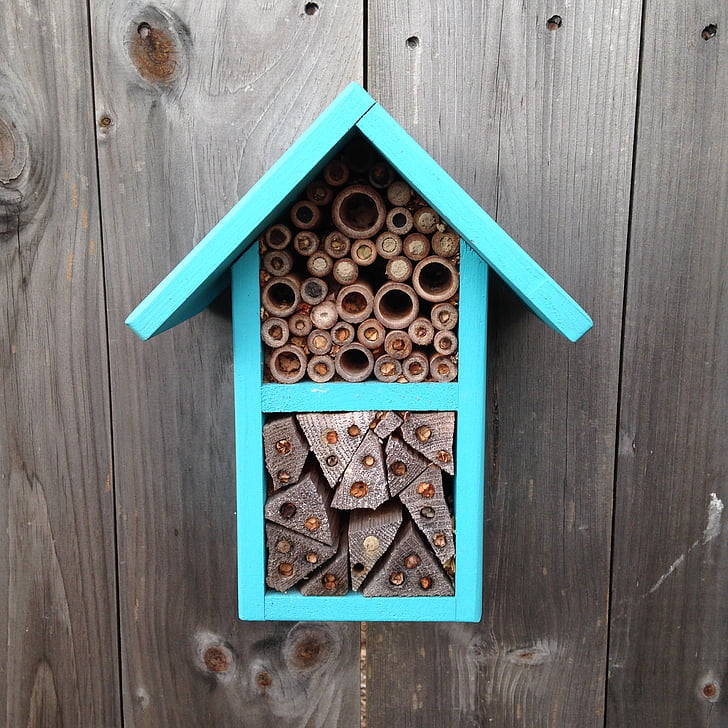 abelles, pol·linitzadors, casa d'abella, polinització, pol·linització, jardí, natura