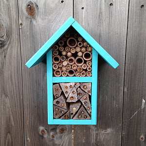 蜜蜂, 传粉者, 蜜蜂的房子, 授粉, 授粉, 花园, 自然