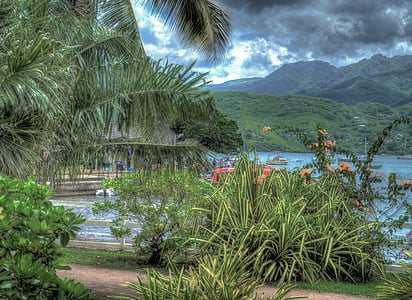 nuva hiva, Pulau Marquesas, Polinesia Perancis, Pasifik Selatan, Gunung, pemandangan, bunga