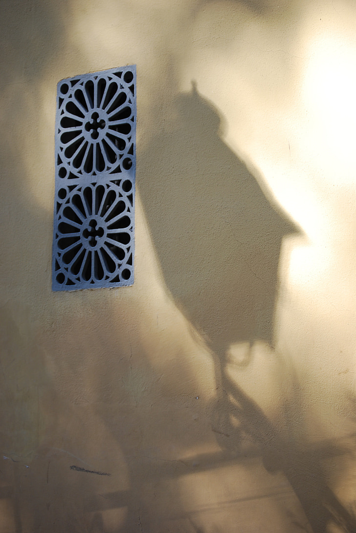stín, lampa, Florencie