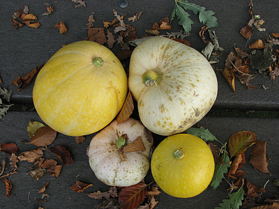 podzim, dýně, žlutá, zelenina, jídlo, Příroda, list