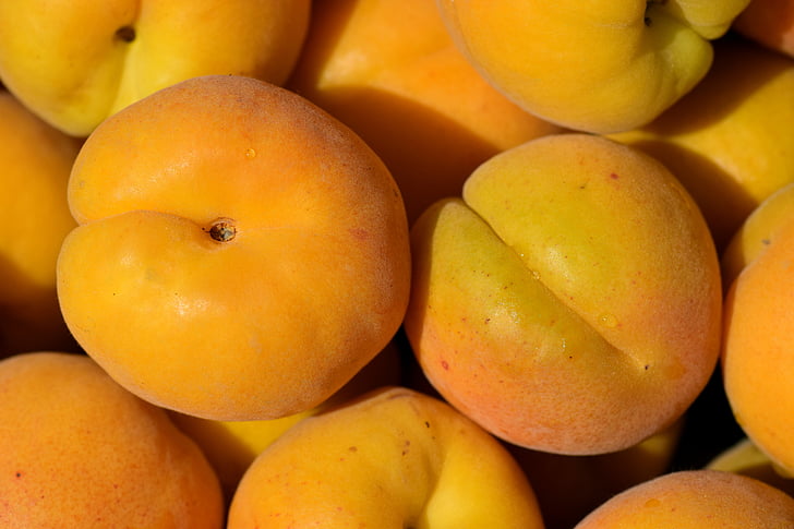 aprikot, buah, Manis, lezat, sehat, buah-buahan, Makanan