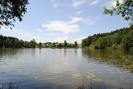 schnaitsee, Άνω Βαυαρία, badesee, το καλοκαίρι, κρίνοι νερού, Lily pad, σύννεφα