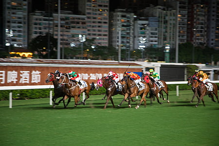 corridas de cavalos, Hong kong, cavalo, concorrência, galope