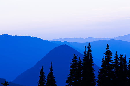 silhouet, bomen, berg, dag, blauw, schaduw, donker