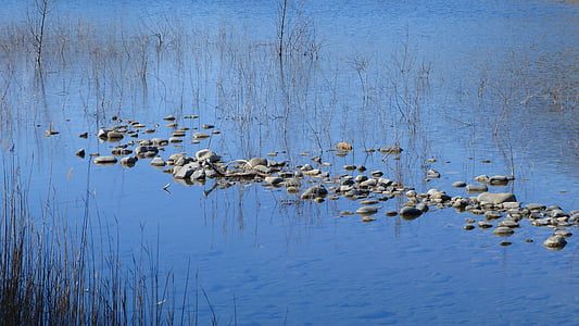 water, nature, reflections, lakes, pebble, reeds, blue